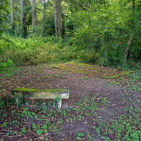 Le Manoir Paradi * Presles-et-Thierny