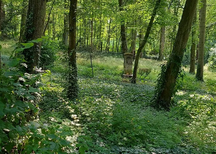 Le Manoir Paradi Presles-et-Thierny