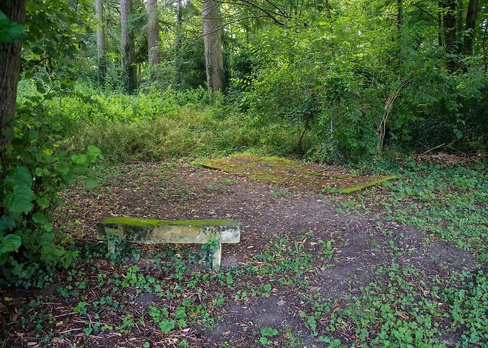 Le Manoir Paradi * Presles-et-Thierny